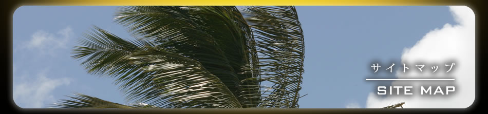 �T�C�g�}�b�v